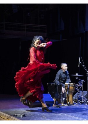 Ana Crismán, Arpa Flamenca et Luis de la Carrasca