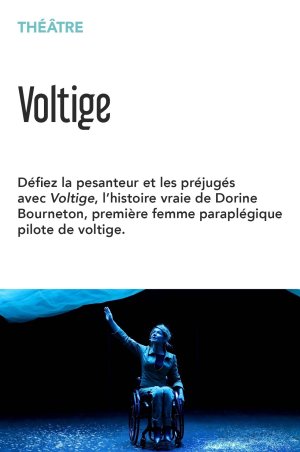 Voltige